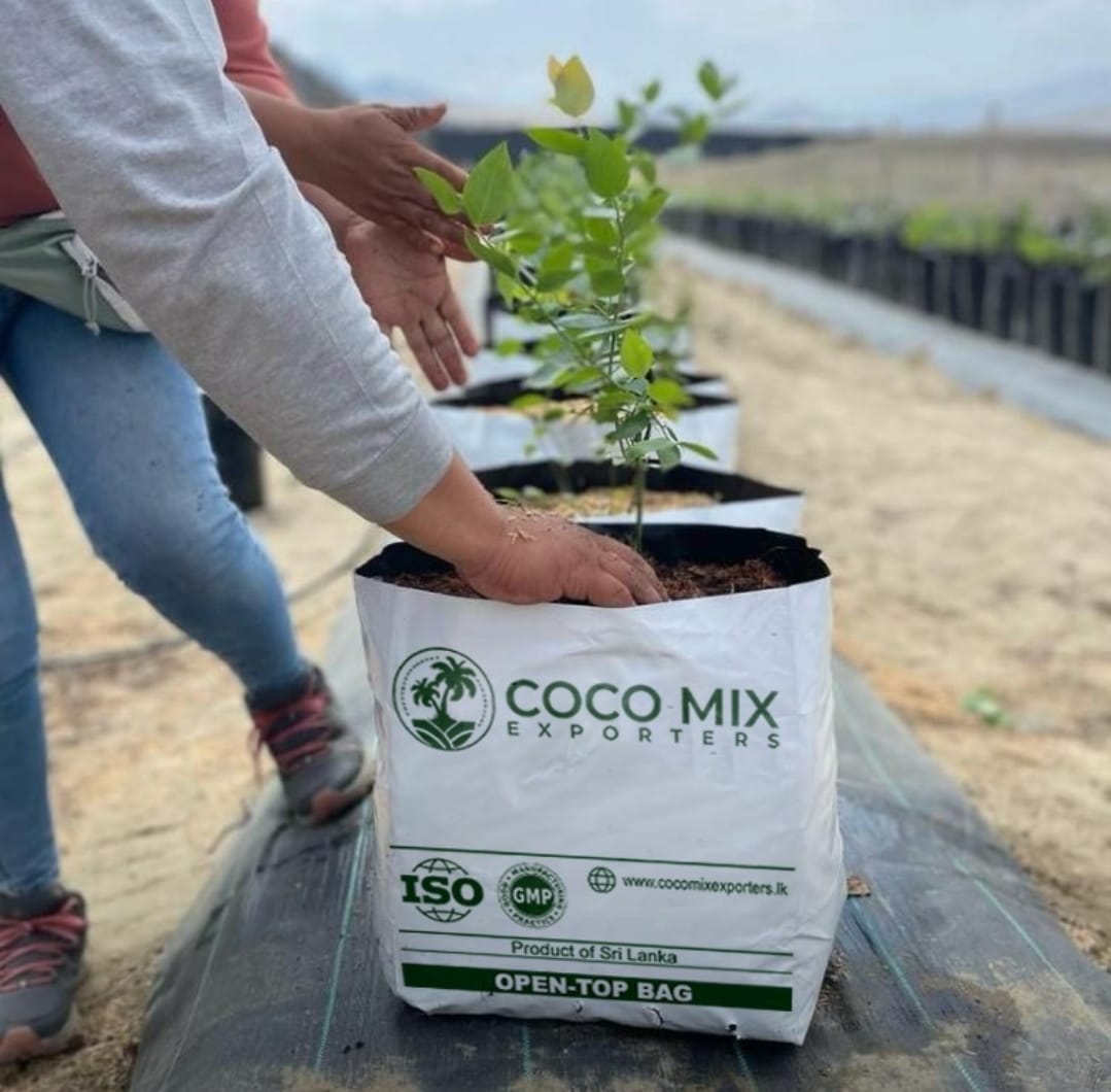 Coco Mix Open-Top Grow Bag with ISO and GMP certification