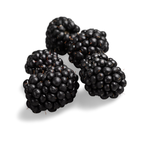 Blackberry