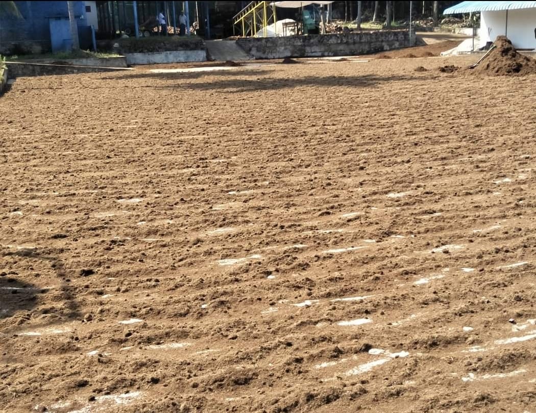 Natural drying area for coco peat